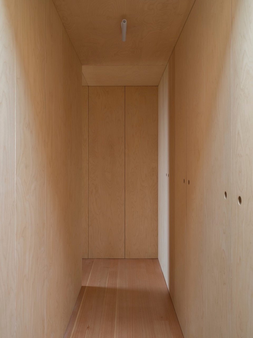 House with a hidden atrium by FAF