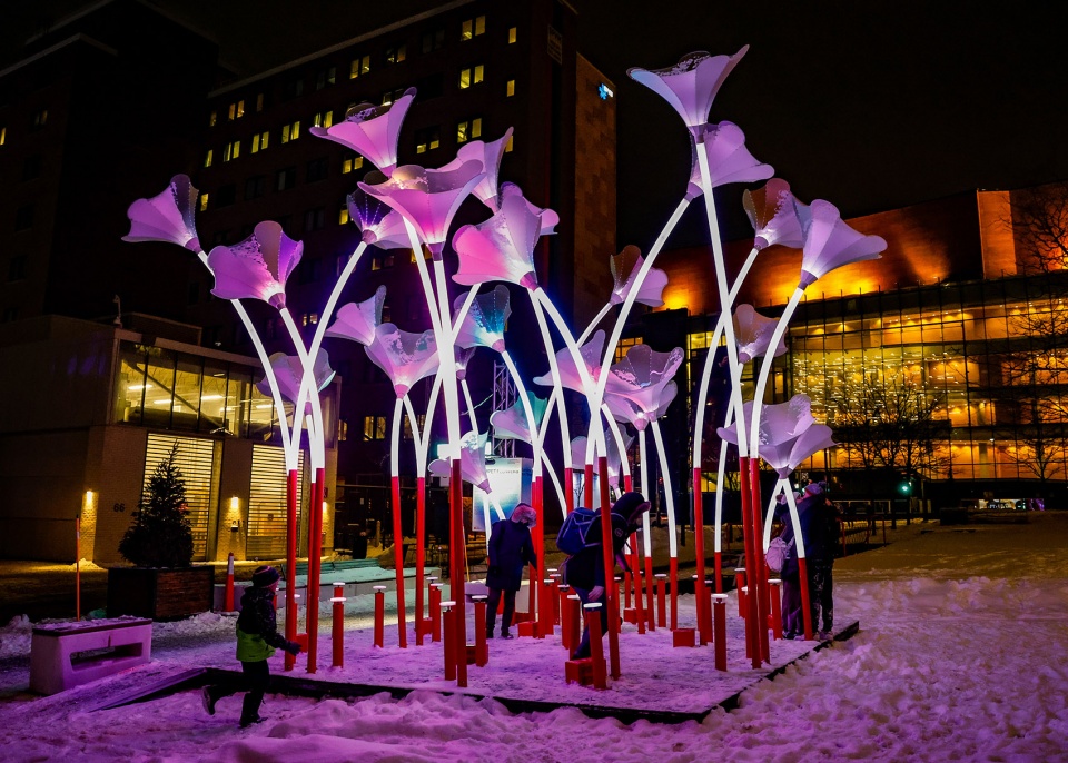 lumino 30 luminous works