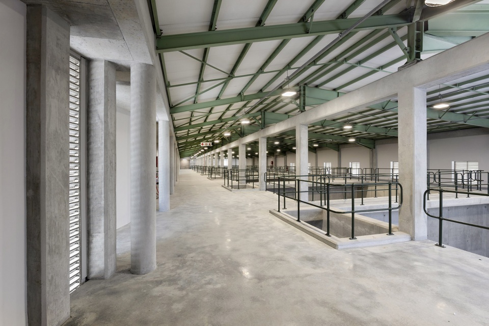aquifer recharge plant by salt architects