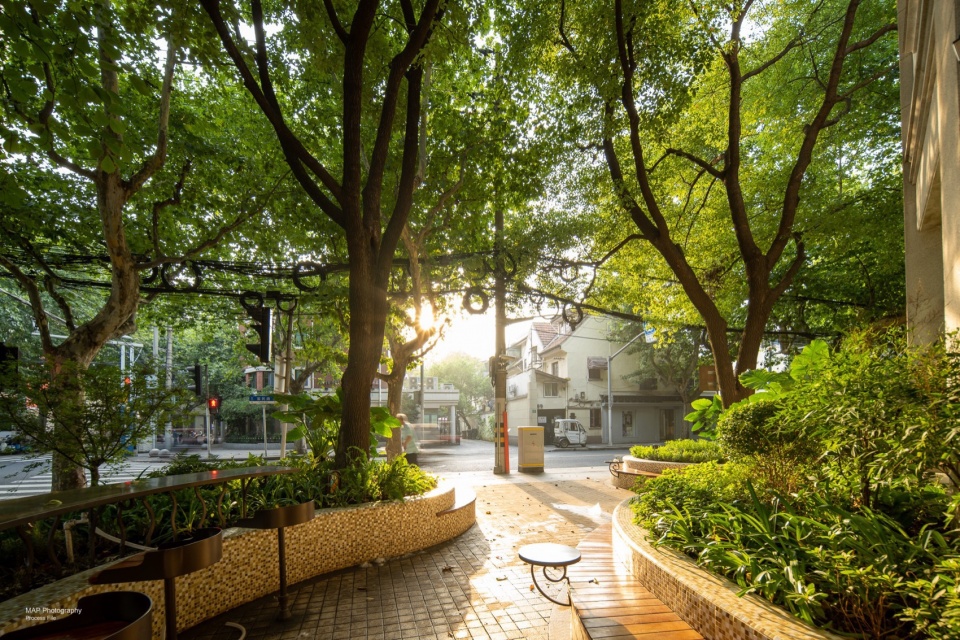 renovation and enhancement project of julu road changshu road to south shaanxi road jingan district shanghai by beyond design