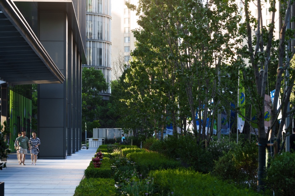 Midtown Forest Shanghai Xuhui Vanke Plaza Landscape Practice by THLA