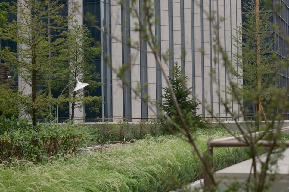Midtown Forest Shanghai Xuhui Vanke Plaza Landscape Practice by THLA