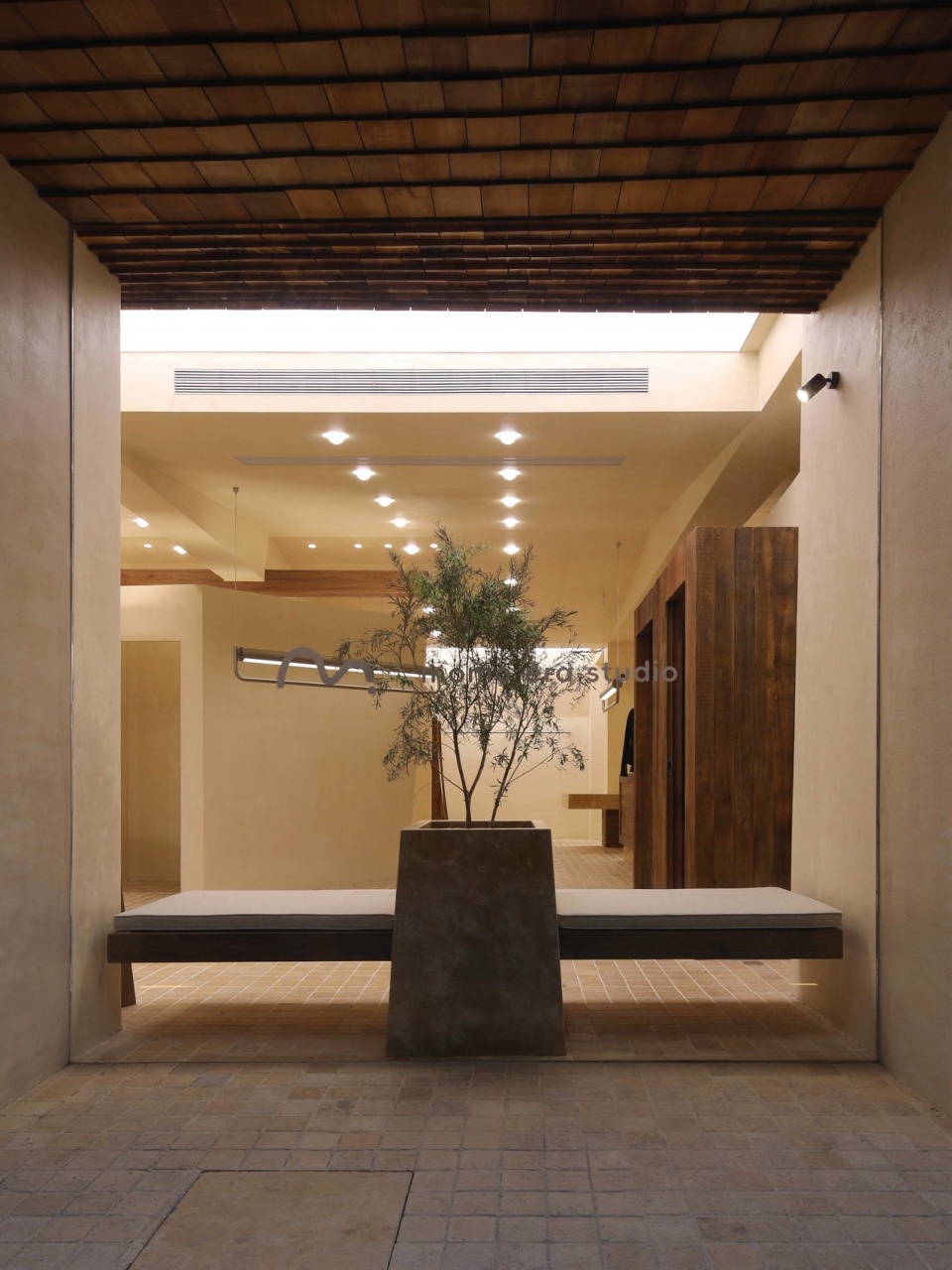 MOMO ERA STUDIO