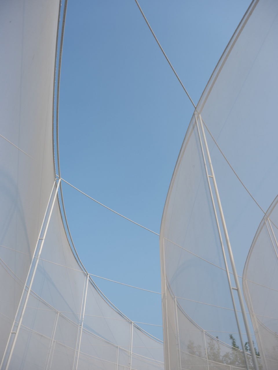 lantern by tls landscape architecture