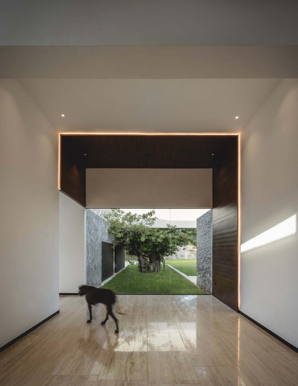 Casa Donna 11casa donna by arkham projects