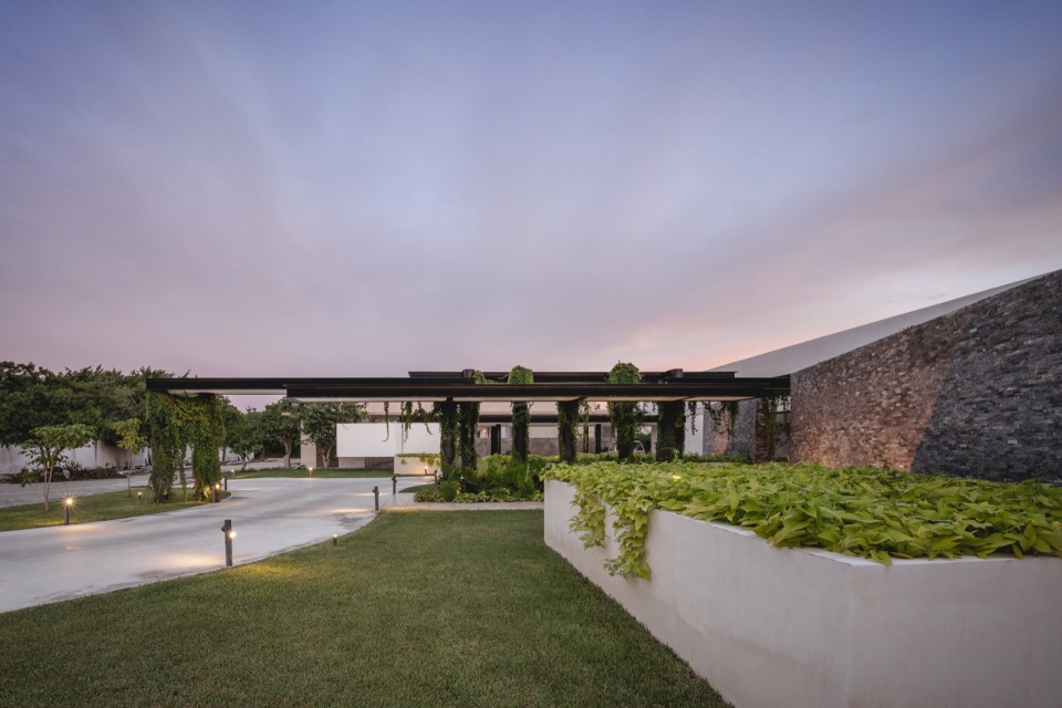 Casa Donna 3casa donna by arkham projects