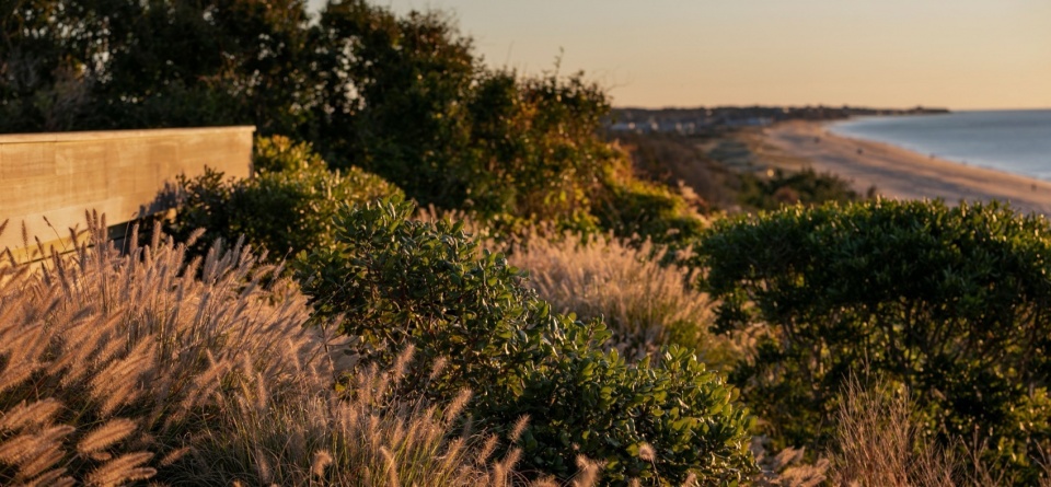 2024 ASLA RESIDENTIAL DESIGN AWARD OF HONOR House on the Bluff by LaGuardia Design Group