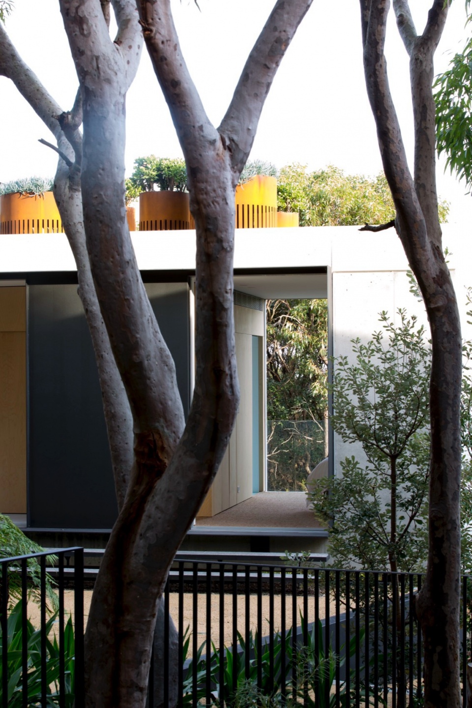 house acute by mck architecture interiors