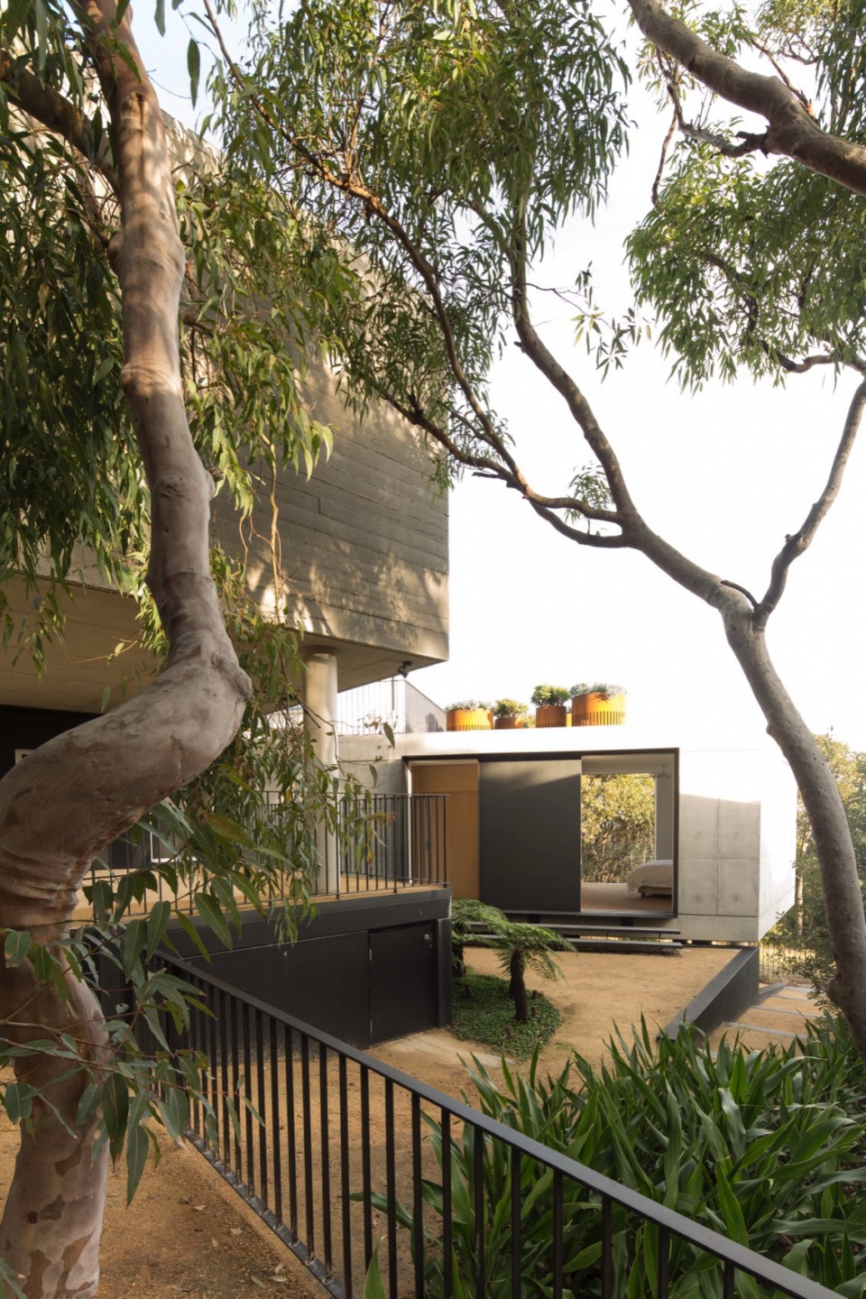 house acute by mck architecture interiors