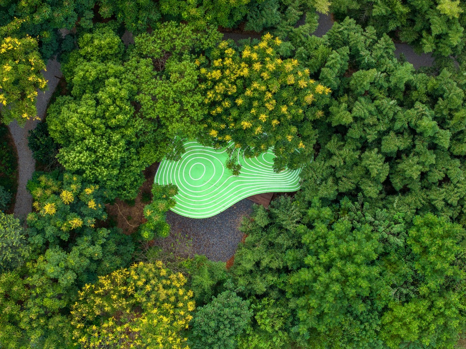 wild home 118 the cabin of palette by wiki world advanced architecture lab