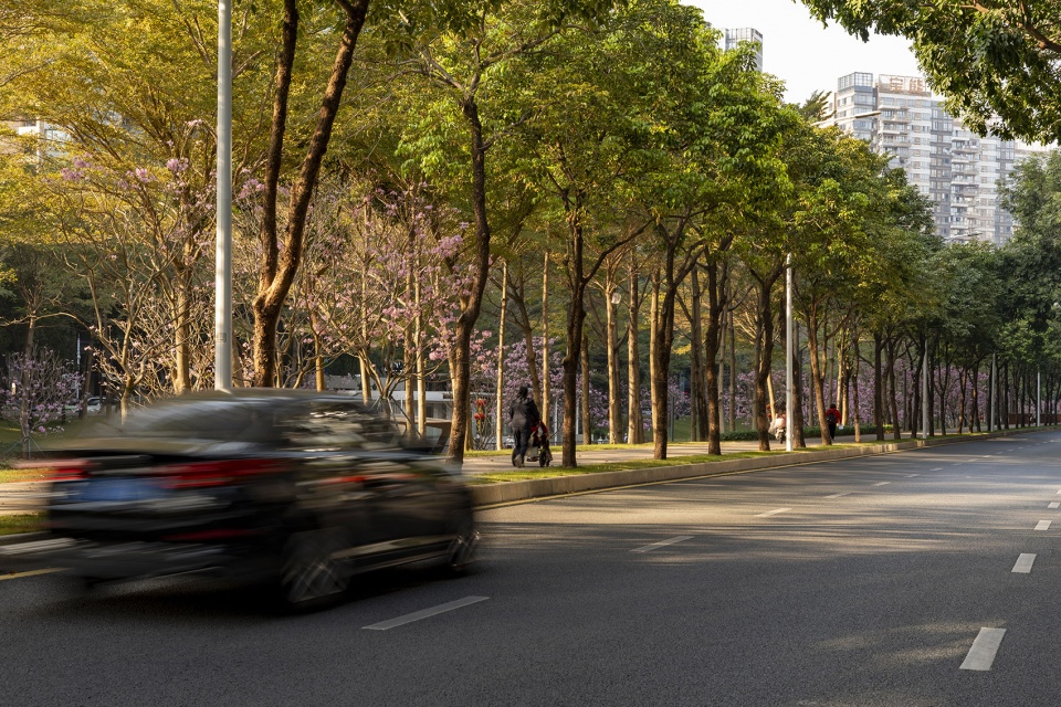 shenzhen houhai river park by hope design