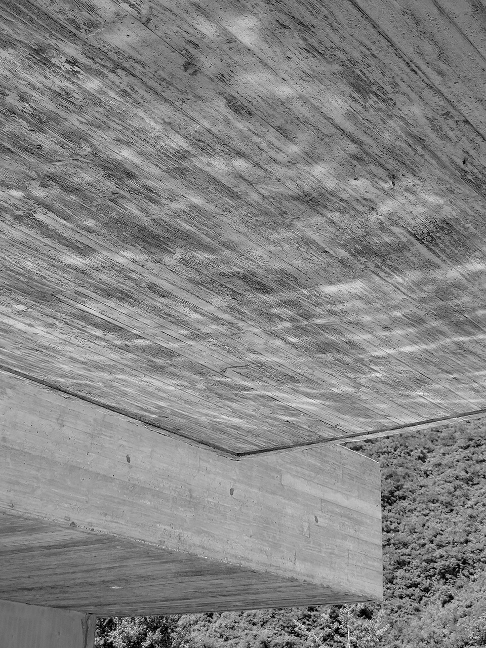 riverside house by xian architects