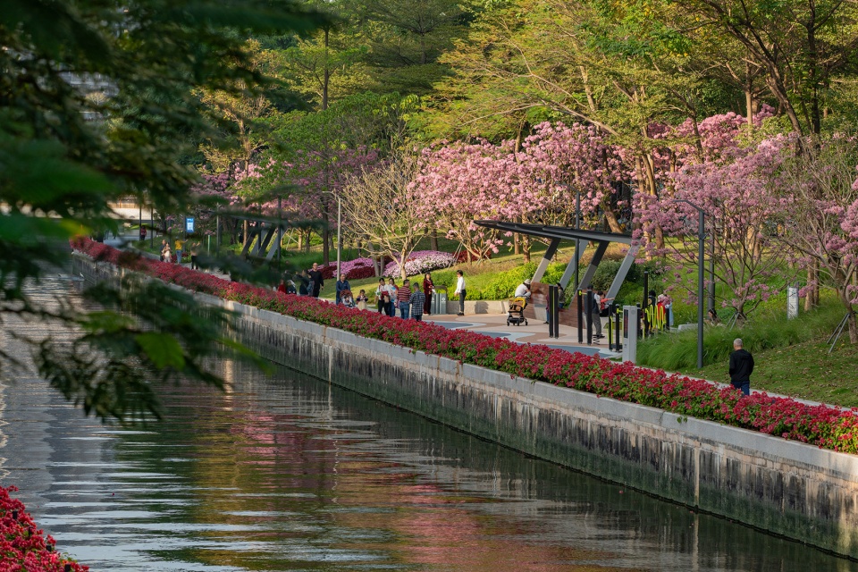 shenzhen houhai river park by hope design
