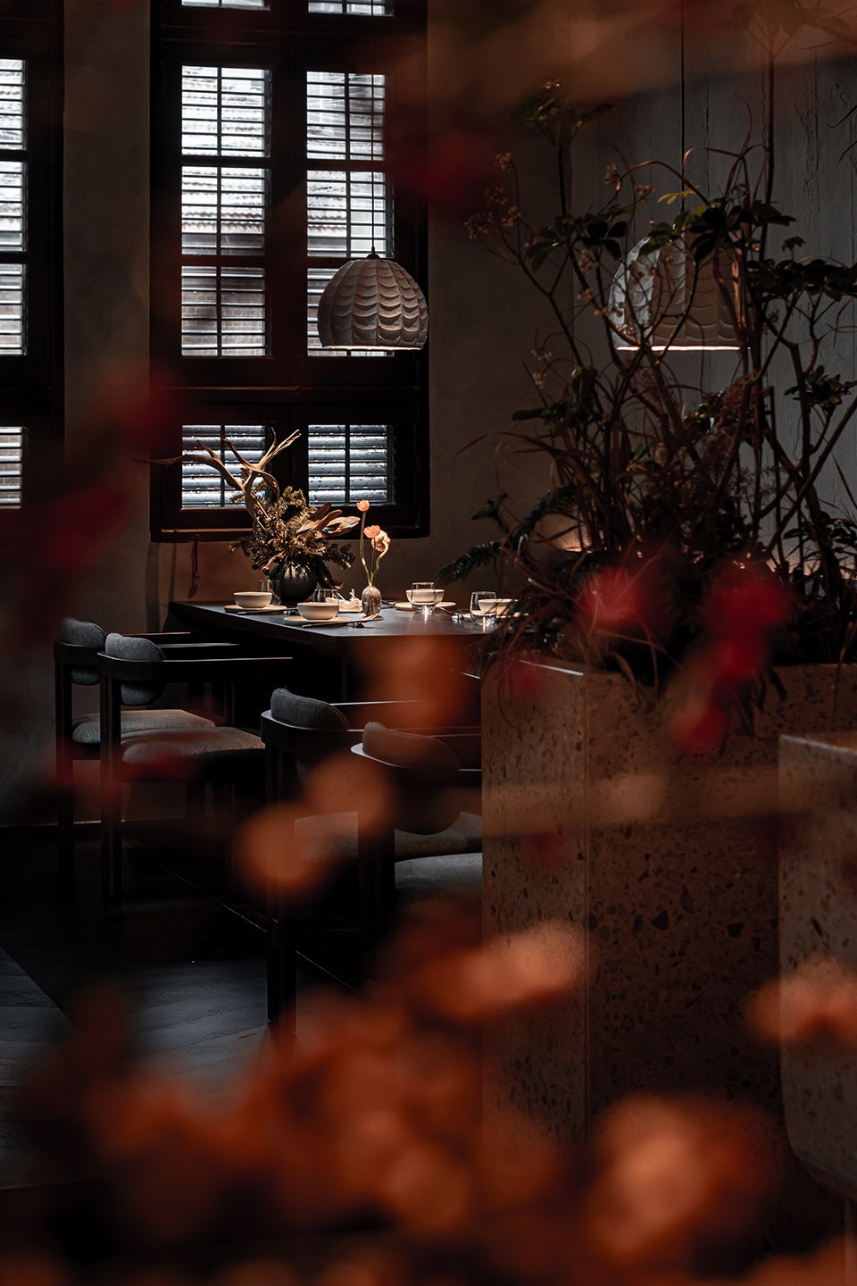 sugino·bistronomy by reborn design