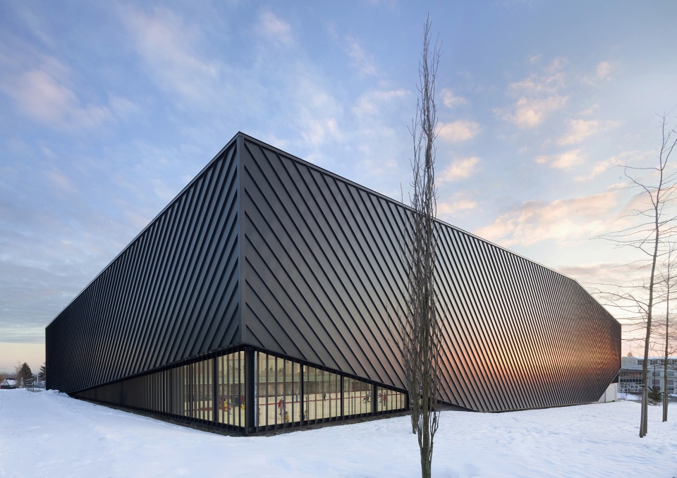 rosemary brown recreation centre by hcma architecture design