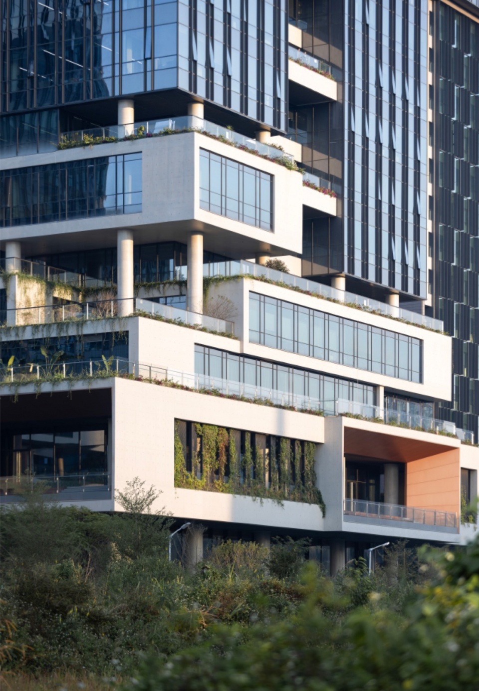 Longhua Design Industrial Park by Capol International Associates Grou 9j7