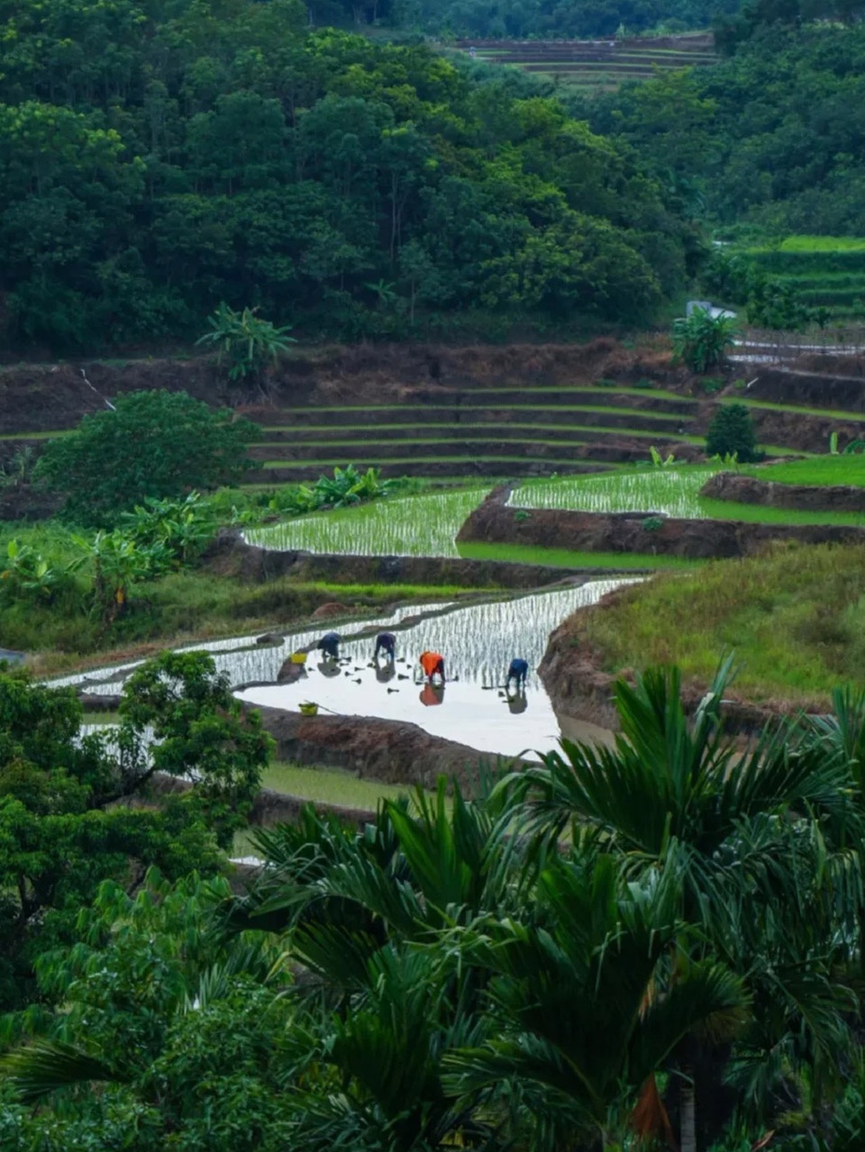 sanya guanlan garden by zscape