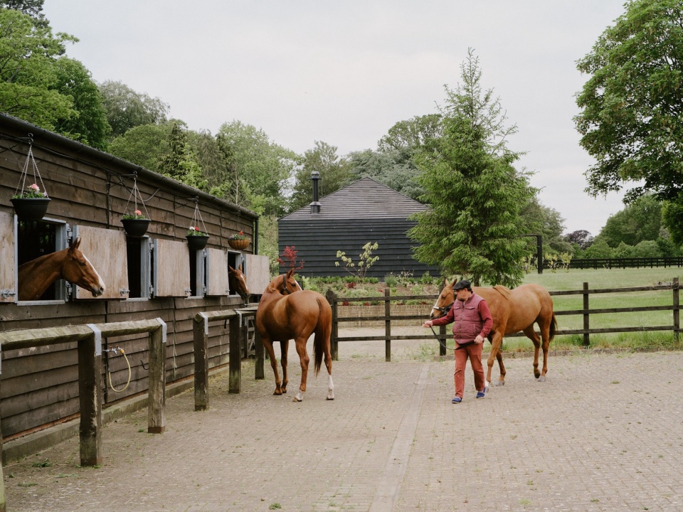 The ARC Polo farm DROO