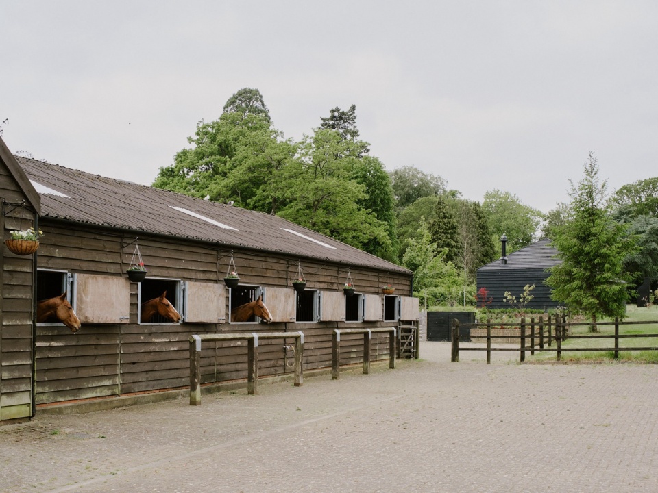 The ARC Polo farm DROO