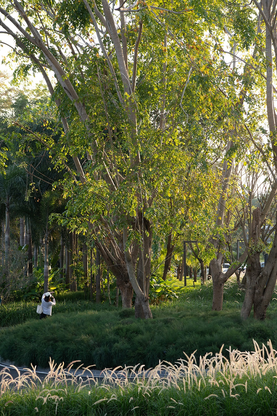 sanya guanlan garden by zscape