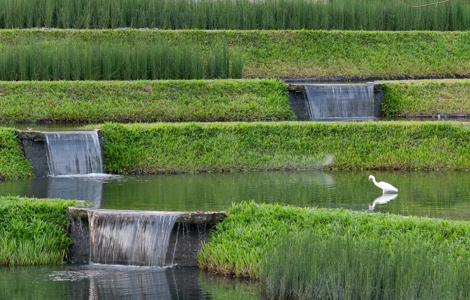 sanya guanlan garden by zscape