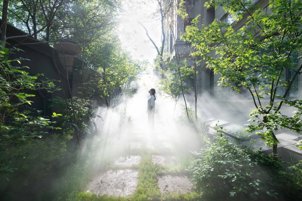 The mist also provides shading and activities during meditation ©Yu Bai