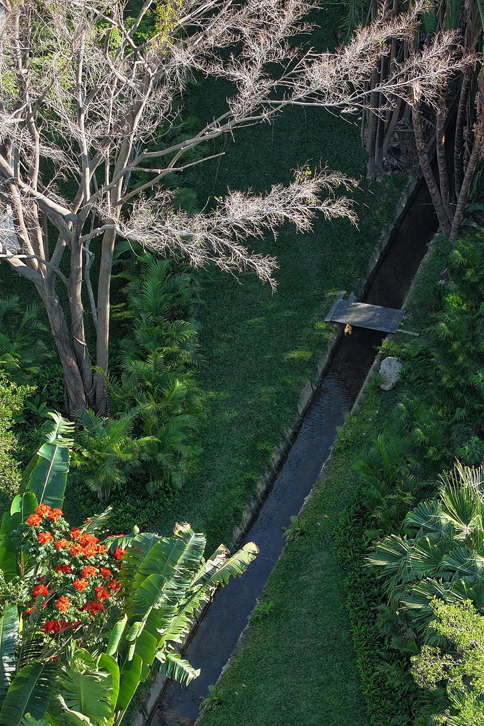 sanya guanlan garden by zscape