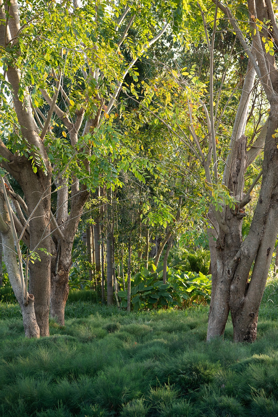sanya guanlan garden by zscape