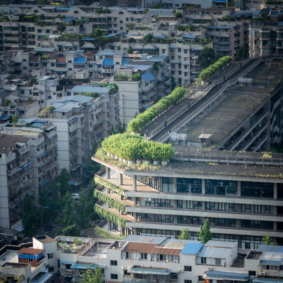 Liu Jiakun Receives the 2025 Pritzker Architecture Prize