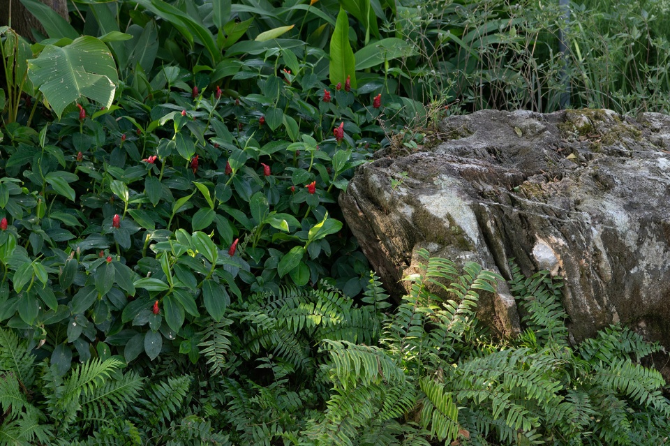 sanya guanlan garden by zscape