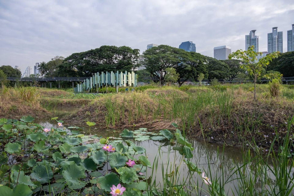 The observatory rises like a forest from the ground ©Rungkit Charoenwat