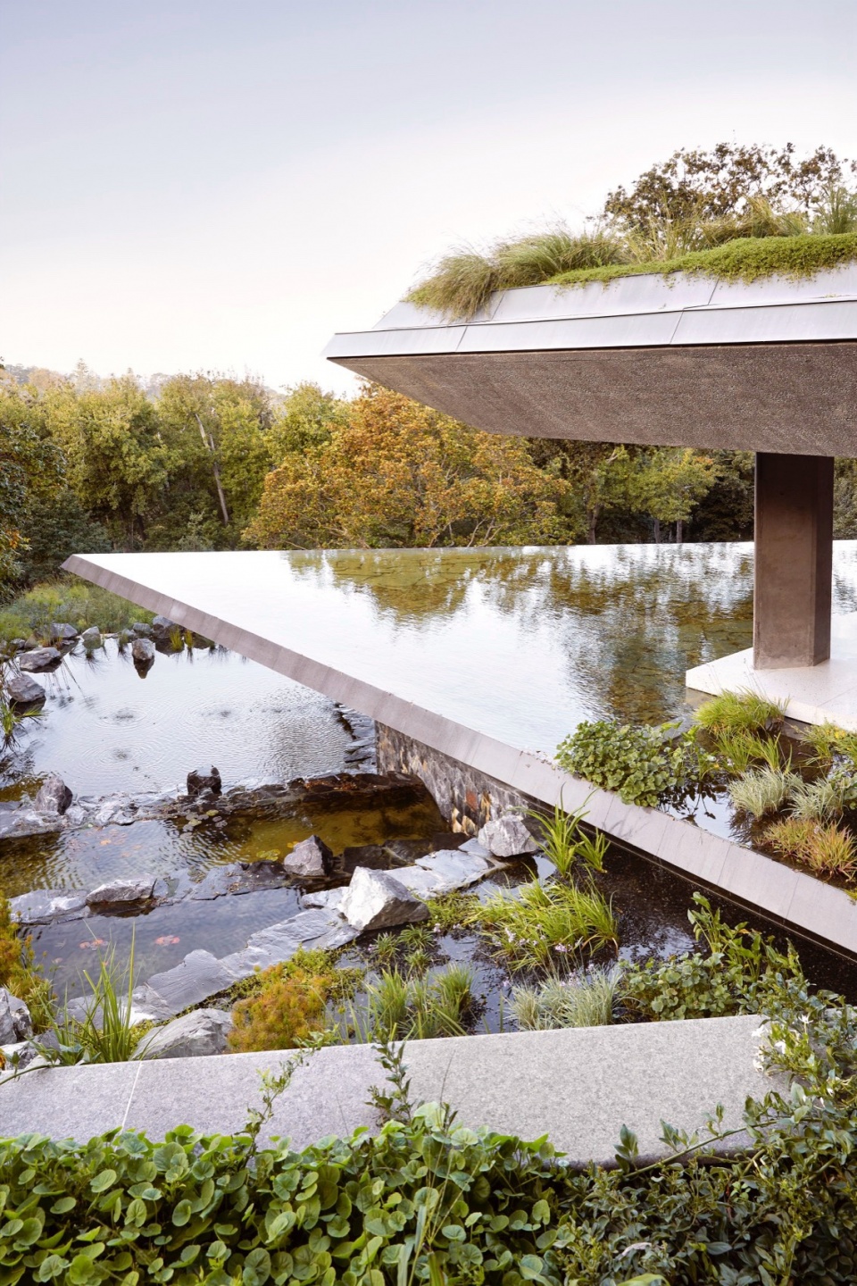 Planted Pavilion Malan Vorster Architecture Interior Design