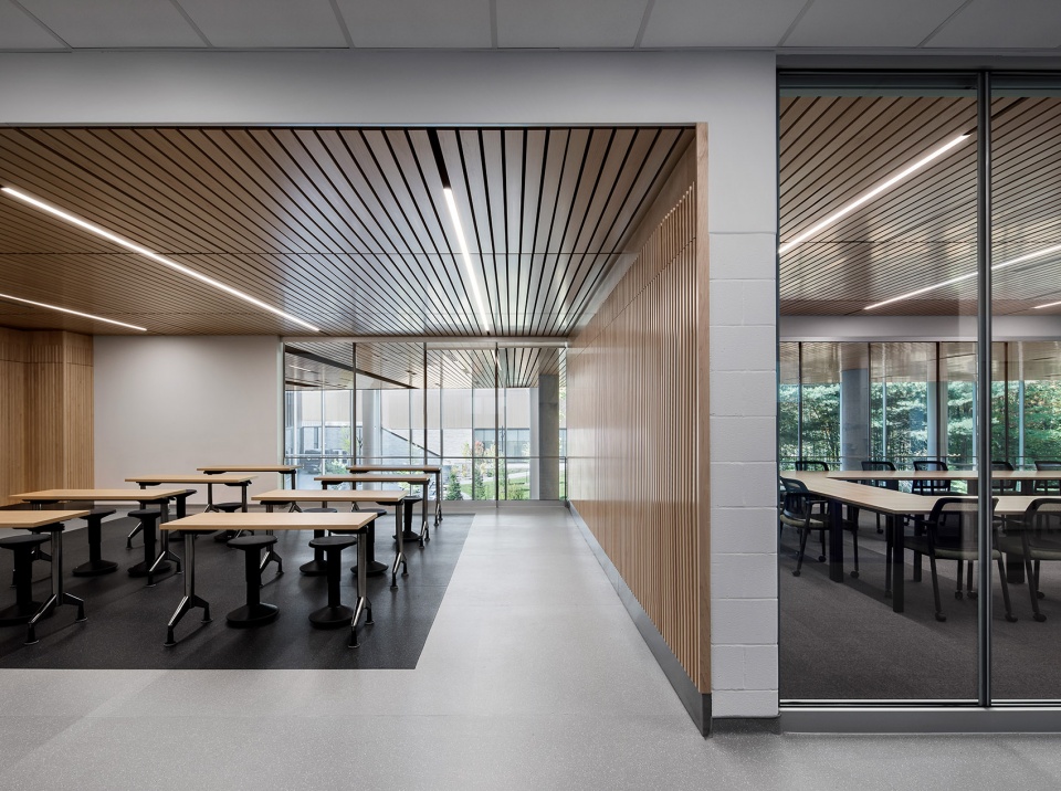 ecole secondaire du bosquet by msdl architectes