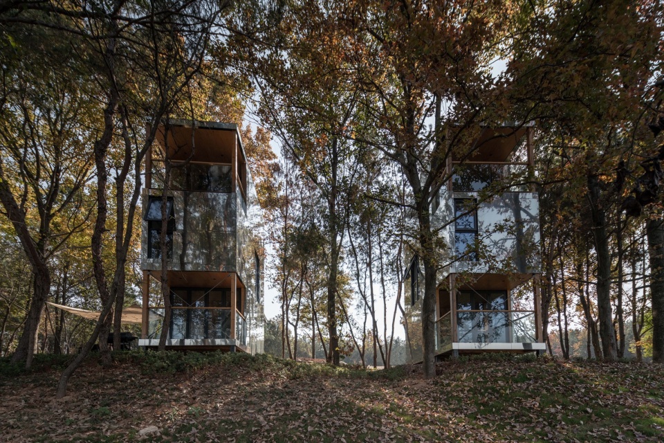 The Giraffe Cabin