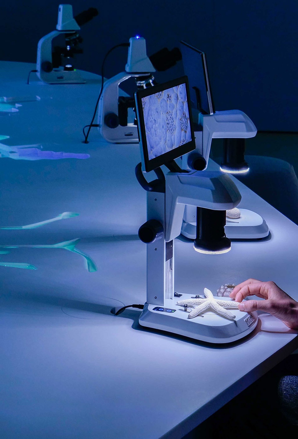 ocean intelligence exhibition by carlo ratti associati