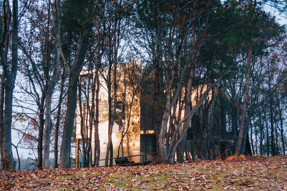 The Giraffe Cabin