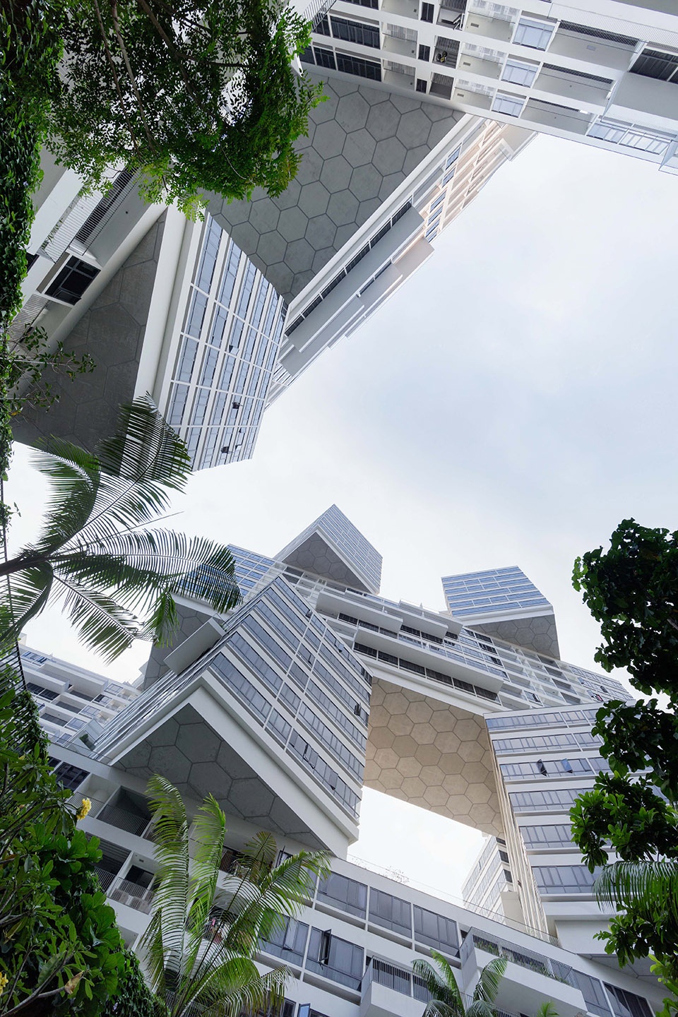 The Interlace by OMA Ole Scheeren
