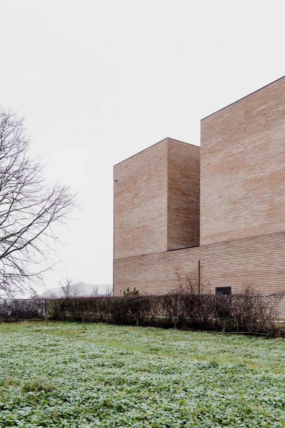 montale high school pontedera by coluccipartners architettura