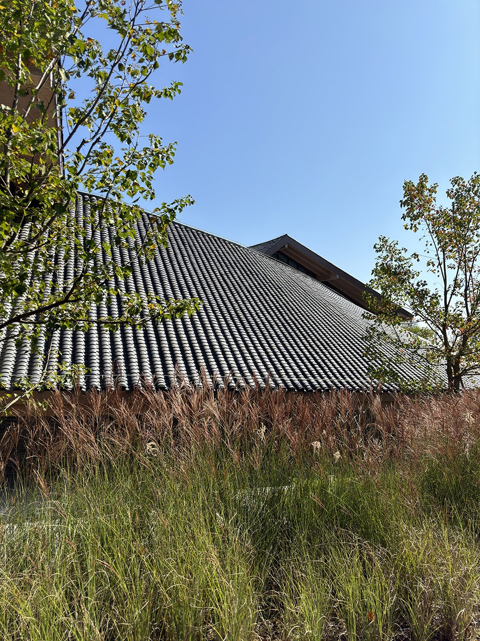jiangxi gian salamander cultural and creative experience center by hesion architecture office