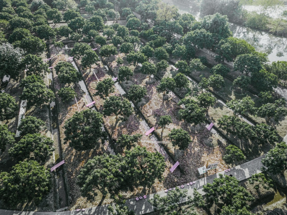 CHUAN XING