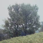 LL住宅，意大利 / LADO architetti