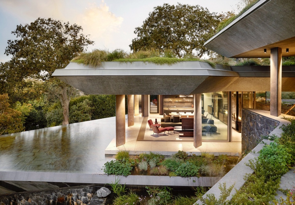 Planted Pavilion Malan Vorster Architecture Interior Design