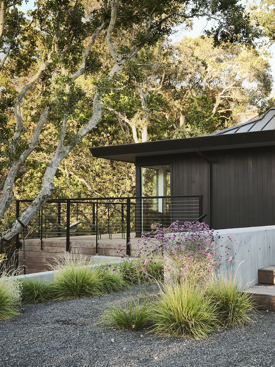 viewridge by feldman architecture