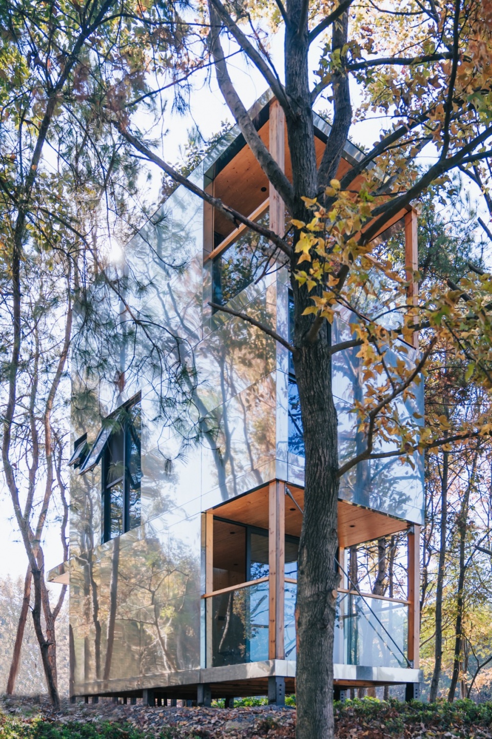 The Giraffe Cabin