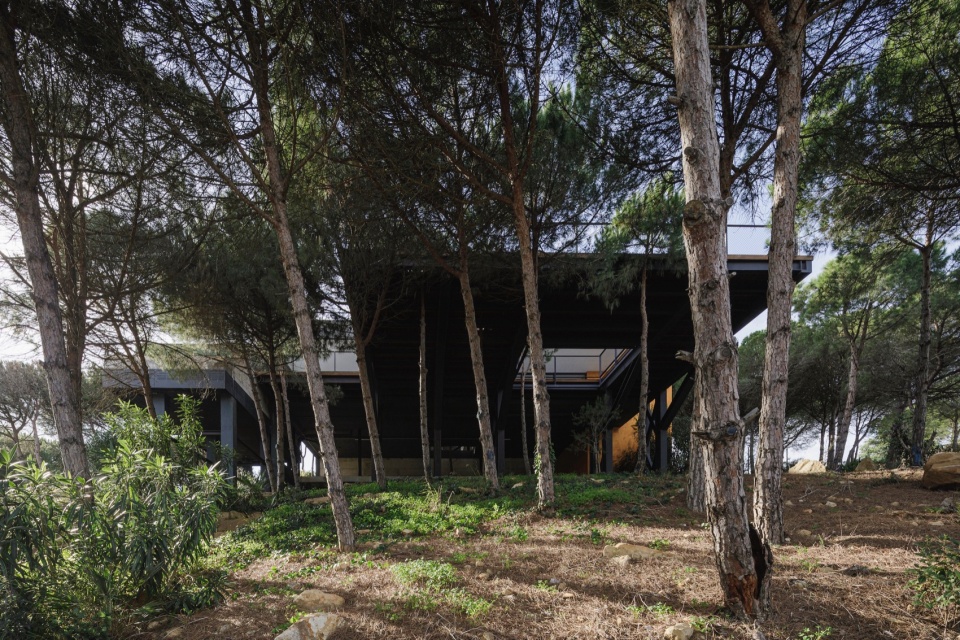Villa Las Nubes by Flow 81