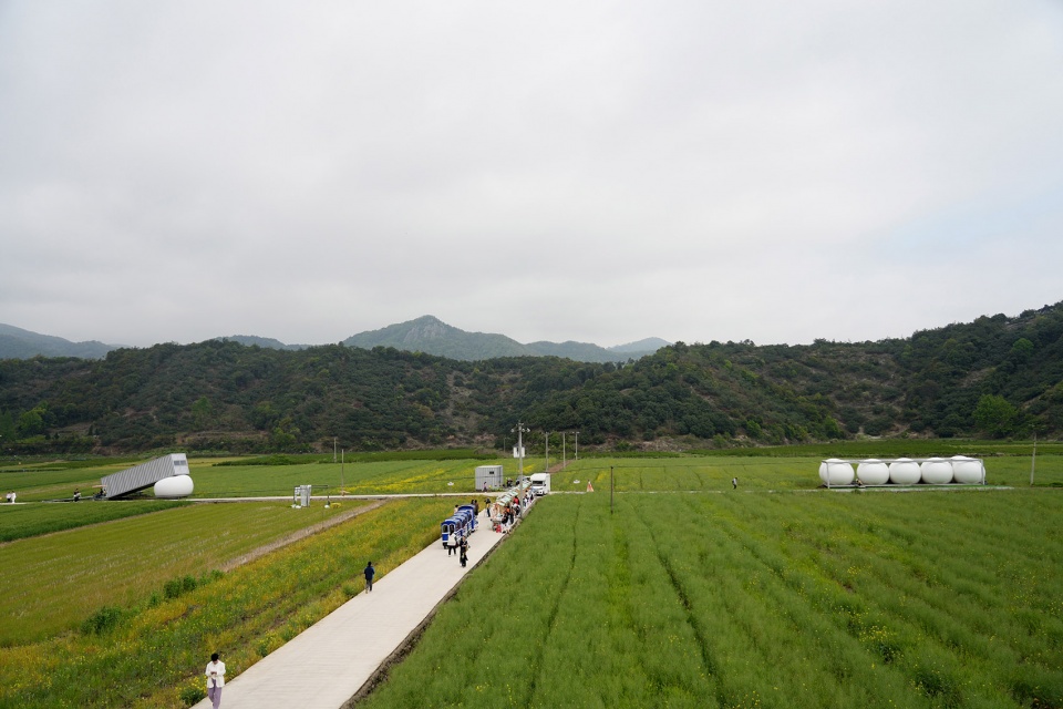 down in the clouds farm field renovation byppractice on earth increments studio