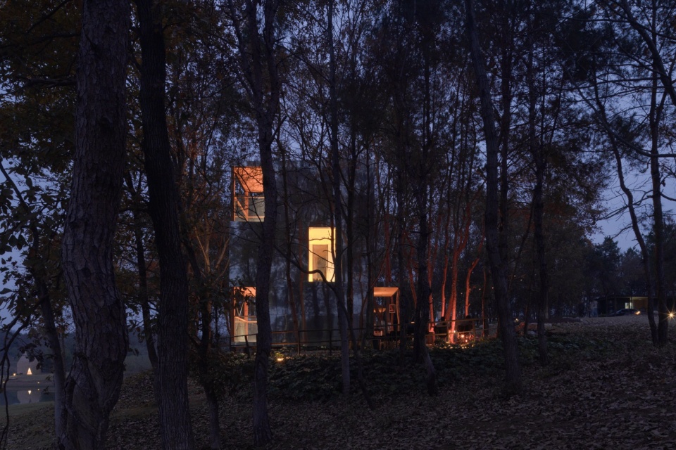 The Giraffe Cabin