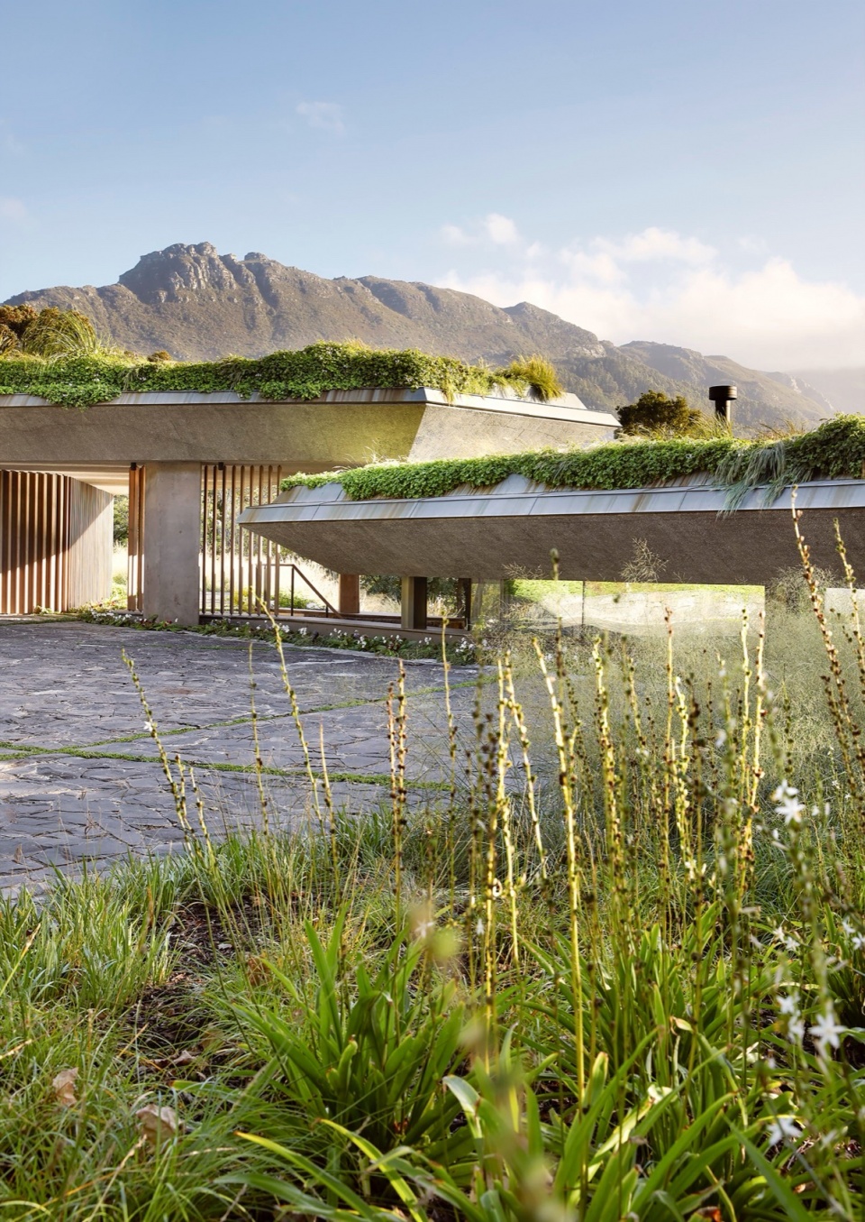 Planted Pavilion Malan Vorster Architecture Interior Design
