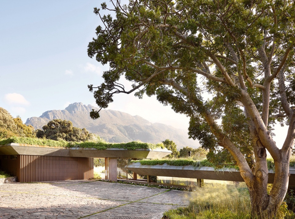 Planted Pavilion Malan Vorster Architecture Interior Design