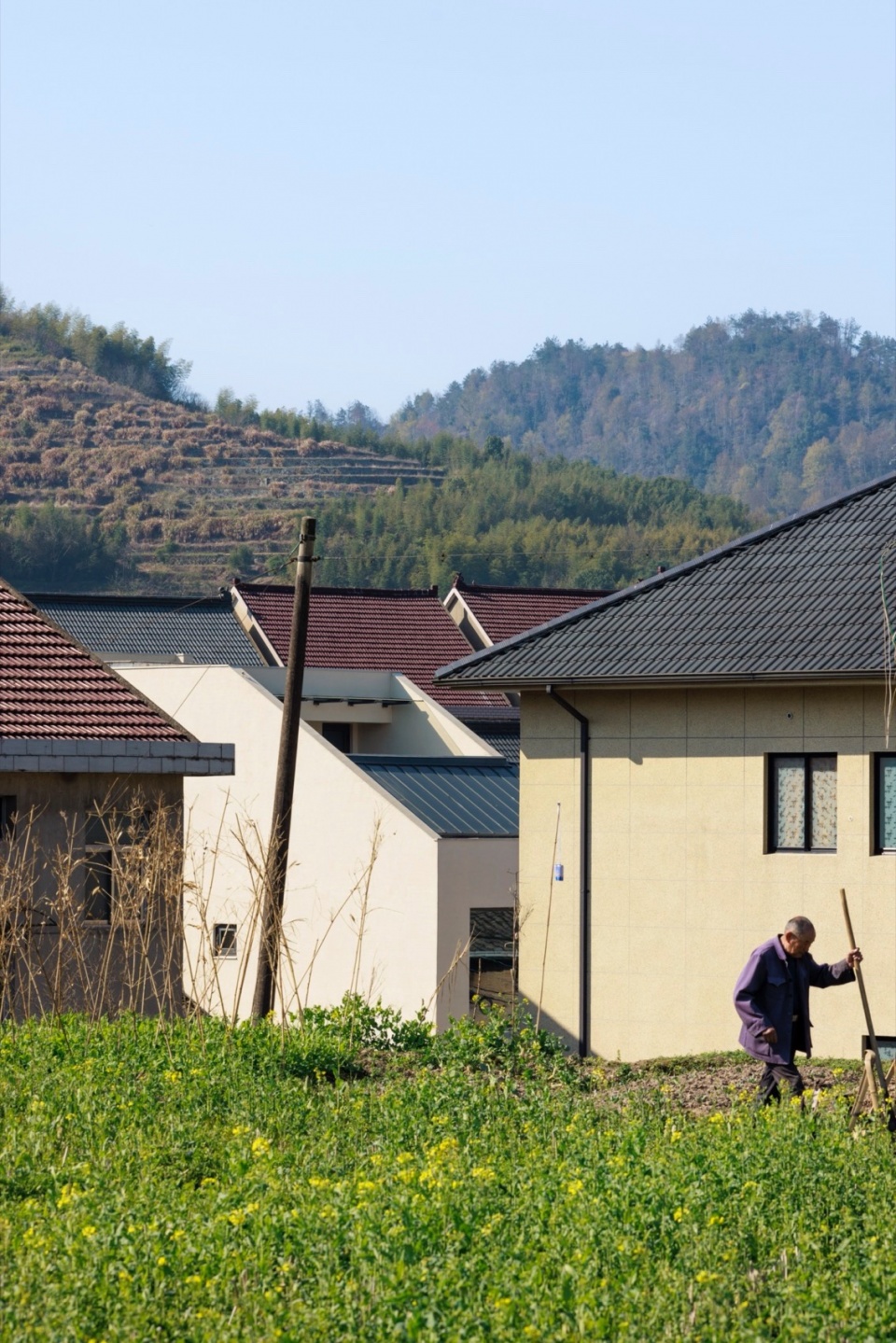 Courtyard House by TEDO